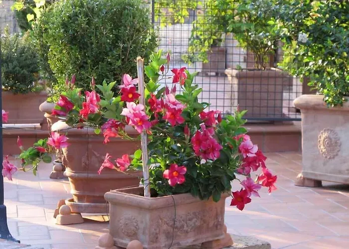 La villa: Agriturismo Colombaiolo