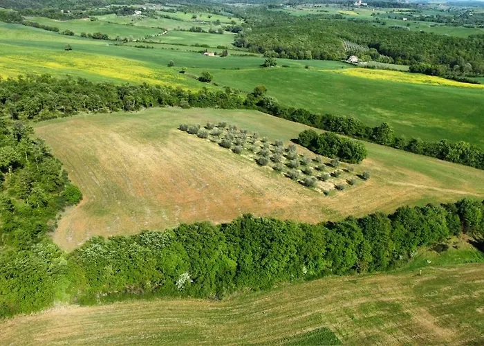 Agriturismo Torrenieri da Alessandro